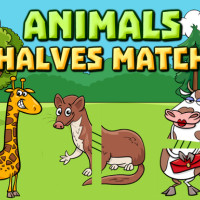 animals-halves-match